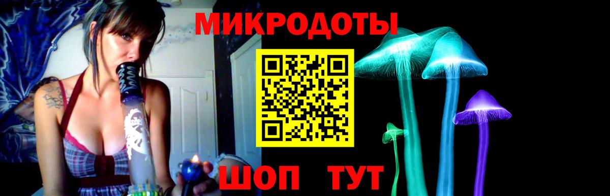 Псилоцибиновые грибы Psilocybine cubensis Можга